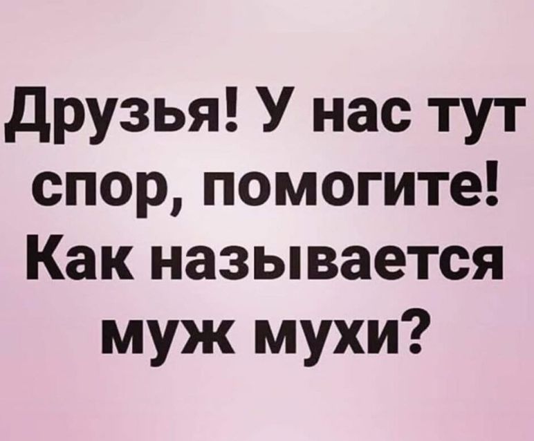 друзья У нас тут спор помогите Как называется муж мухи