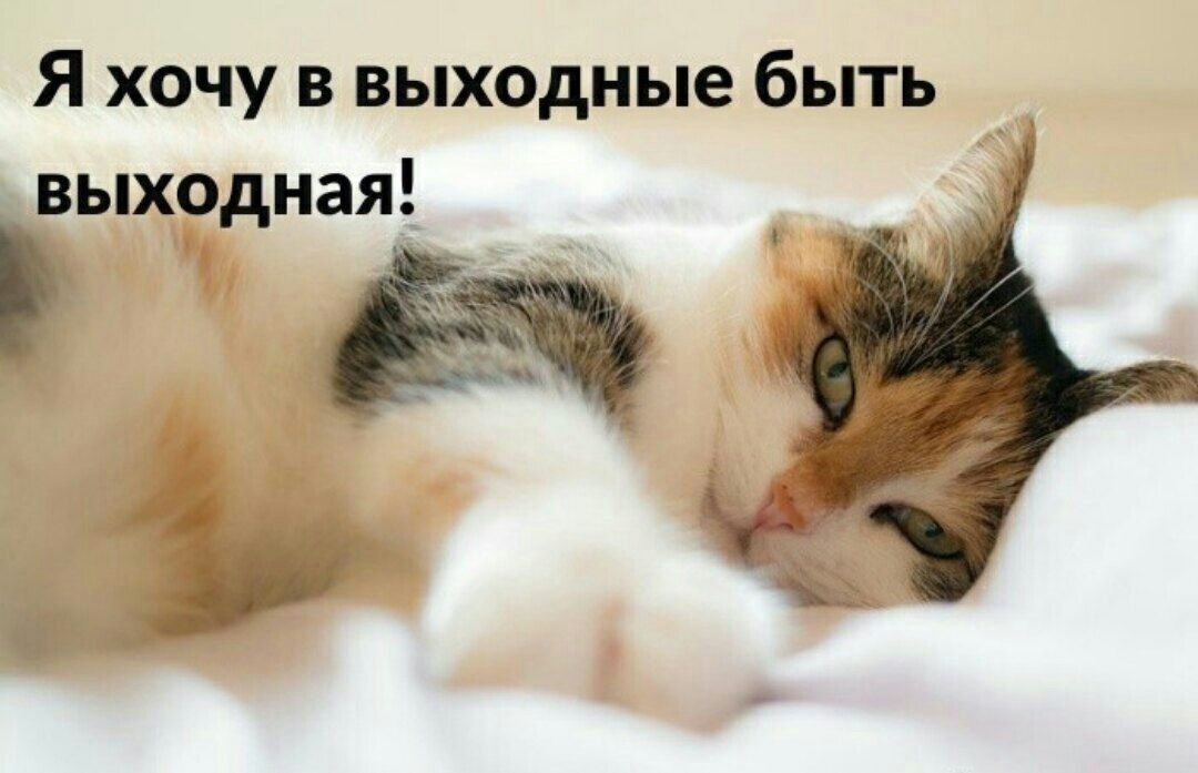 Я хочу в выходные быть выходная