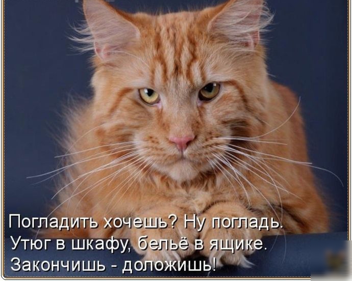 закончишь  до  эаконч