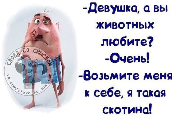 Девушко вы животных любите Очень Возьмите меня к себе я такая скотина