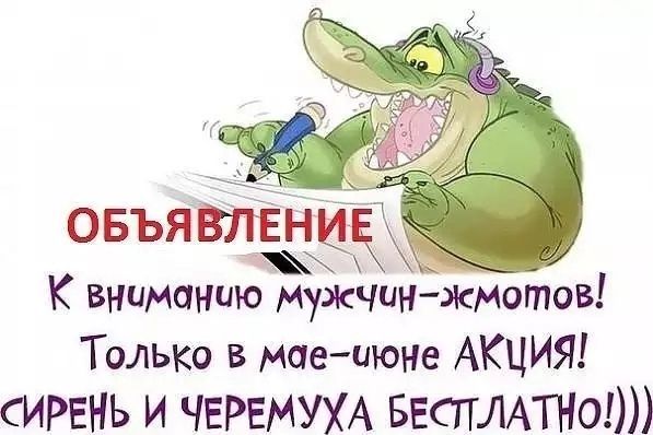 ОБЪЯВЛЕН Е К вниманию мужчинжмотов Только в маеиюне АКЦИЯ сирвнь и ЧЕРЕМУХА ввстгмтншт