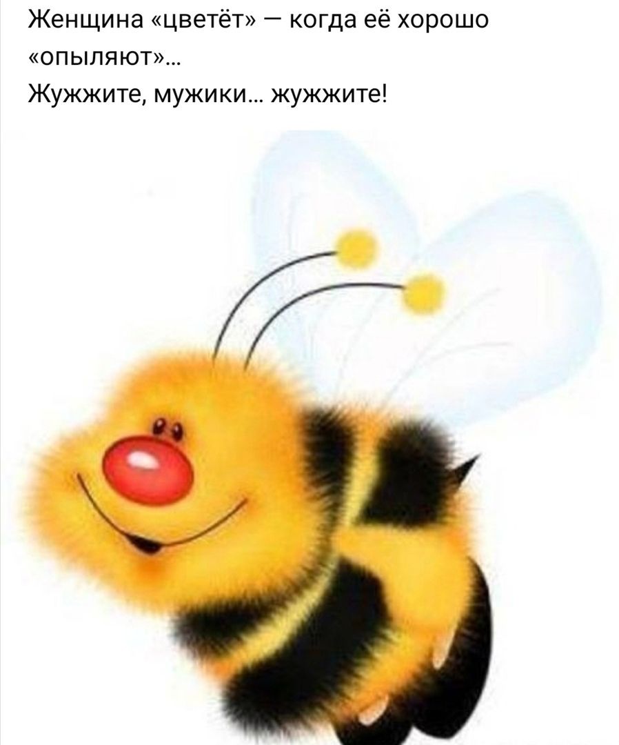 Женщина цветёт когда её хорошо опыляют Жужжите мужики жужжите