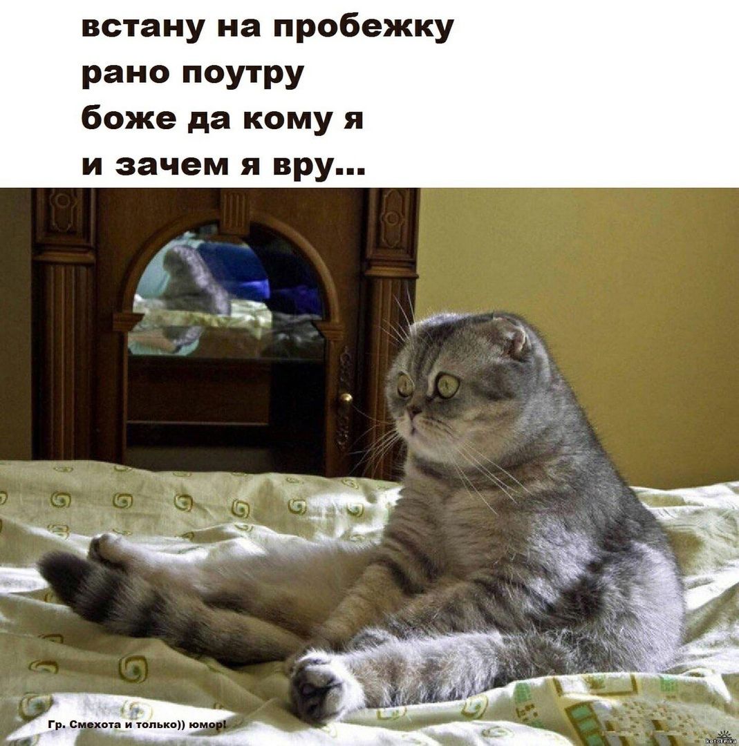 встану на пробежку рано поутру боже да кому я и зачем я вру _ ггъ мд идол ька ю