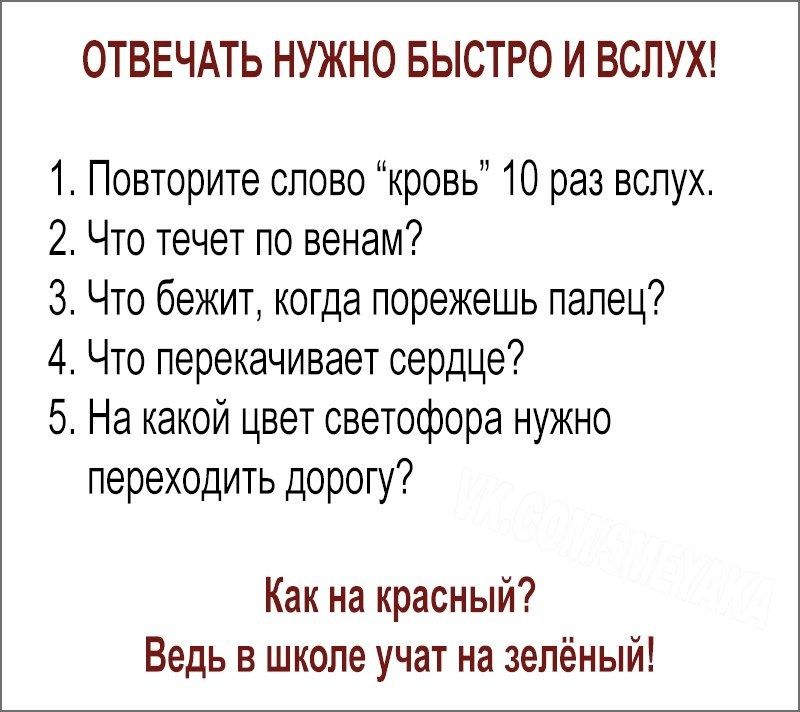 Чиновники и руководители НКО сдали кровь на петербургской донорской акции