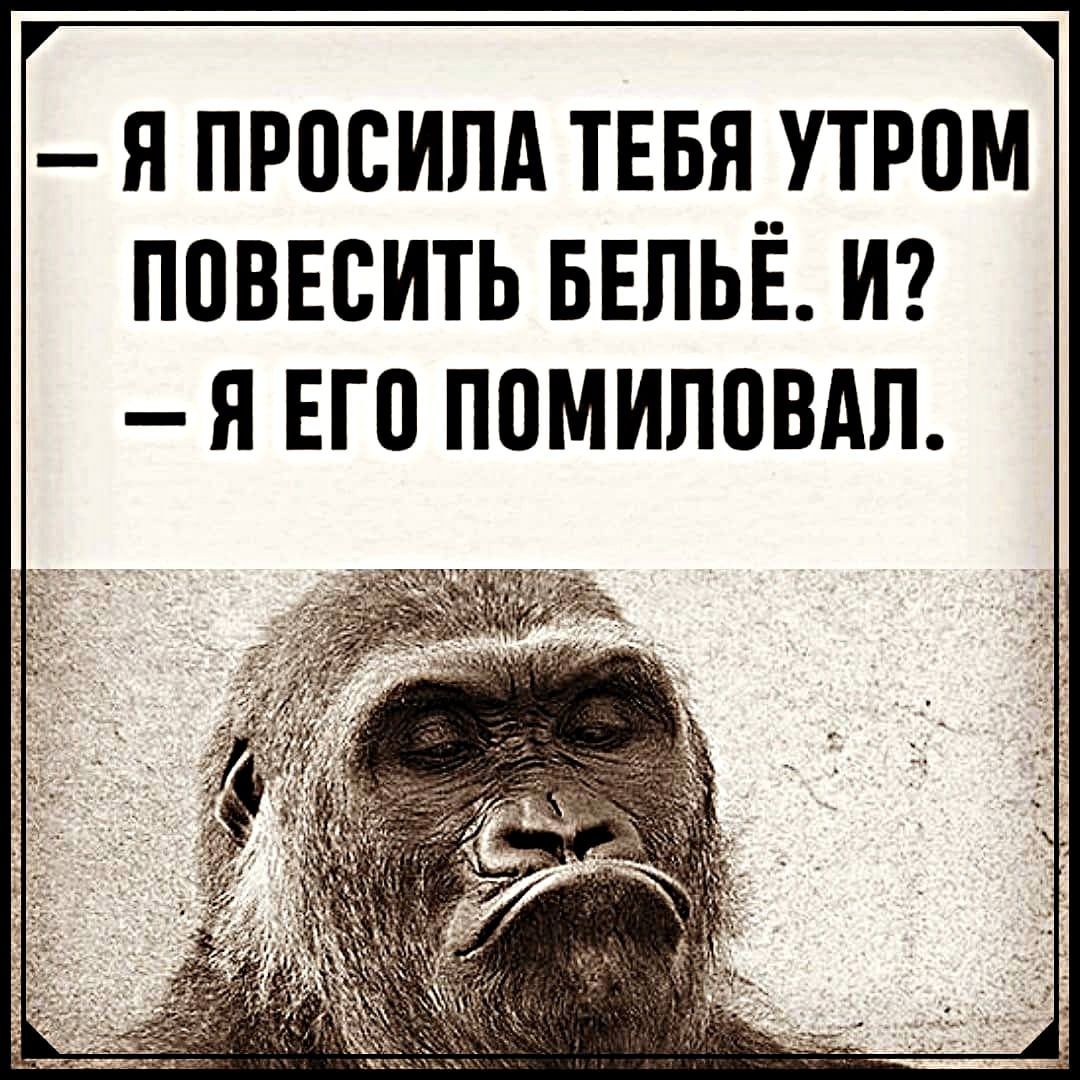 я просипд ТЕБЯ__УТР0М поввсить ввпьв И я но помиловдп