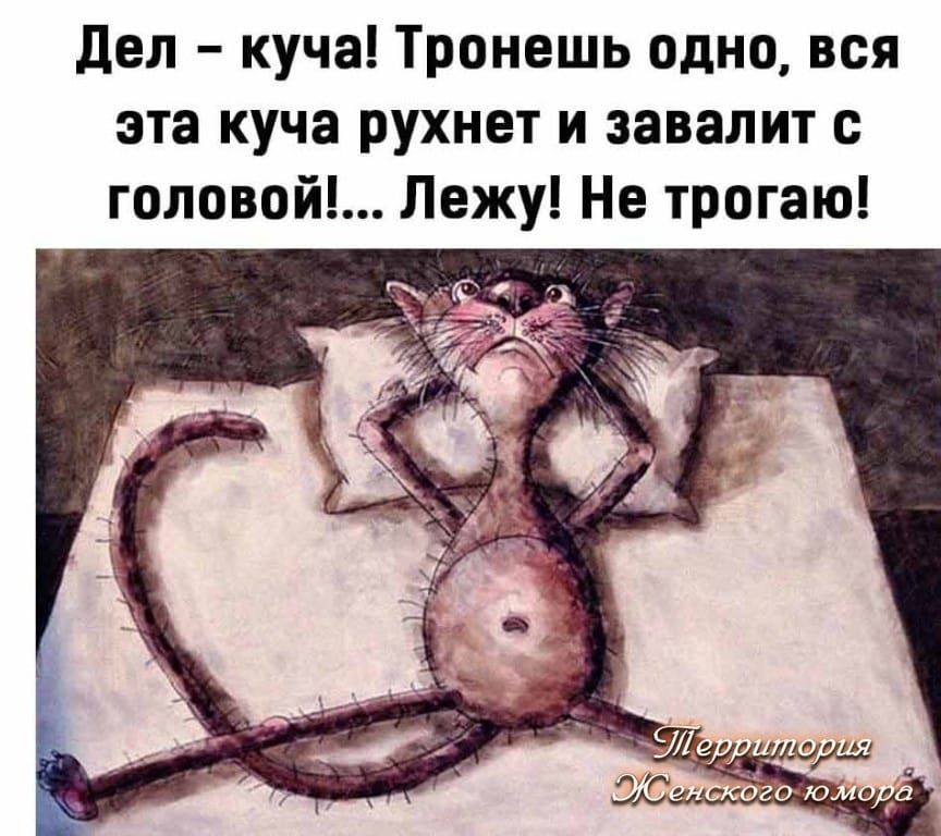 дел куча Тронешь одно вся эта куча рухнет и завалит с головой Лежу Не трогаю
