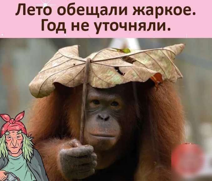Лето обещали жаркое Год не уточняли