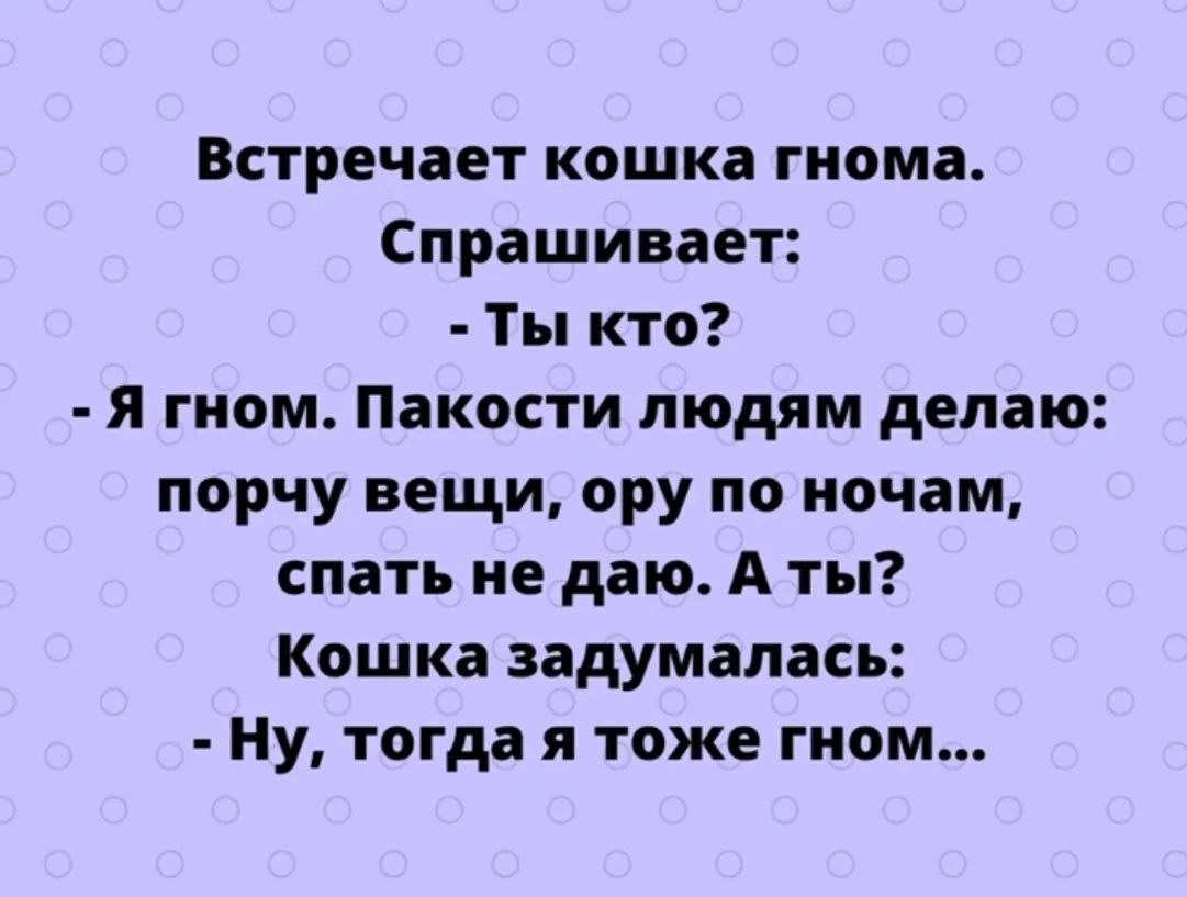 Встречает кошка гнома Спрашивает Ты кто Я гном Пакости людям делаю порчу вещи ору по ночам спать не даю А ты Кошка задумалась Ну тогда я тоже гном