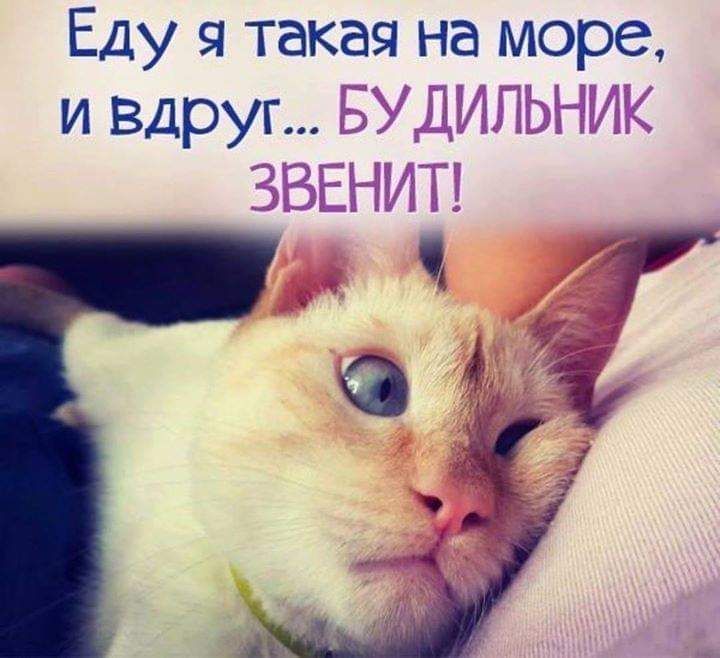 Еду я такая на море
