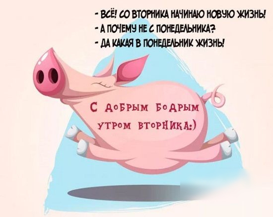 ИЁЮВГШИКАЩЧИШШСФЧОИМЗЫ АЮЫБЮСЮЕЛЁЬИМ МШЫВЮЦЁШИКХМЗНЫ С допы БОАгнк при Нарнии