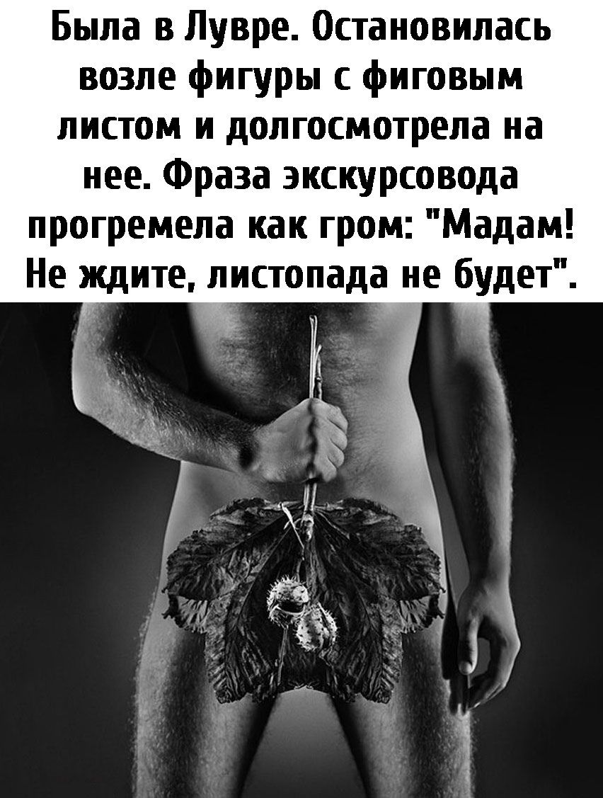 Была в Лувре Остановилась возле фигуры фиговым листом и долгосмотрела на нее Фраза экскурсовода прогремела как гром Мадам Не ждите листопада не будет