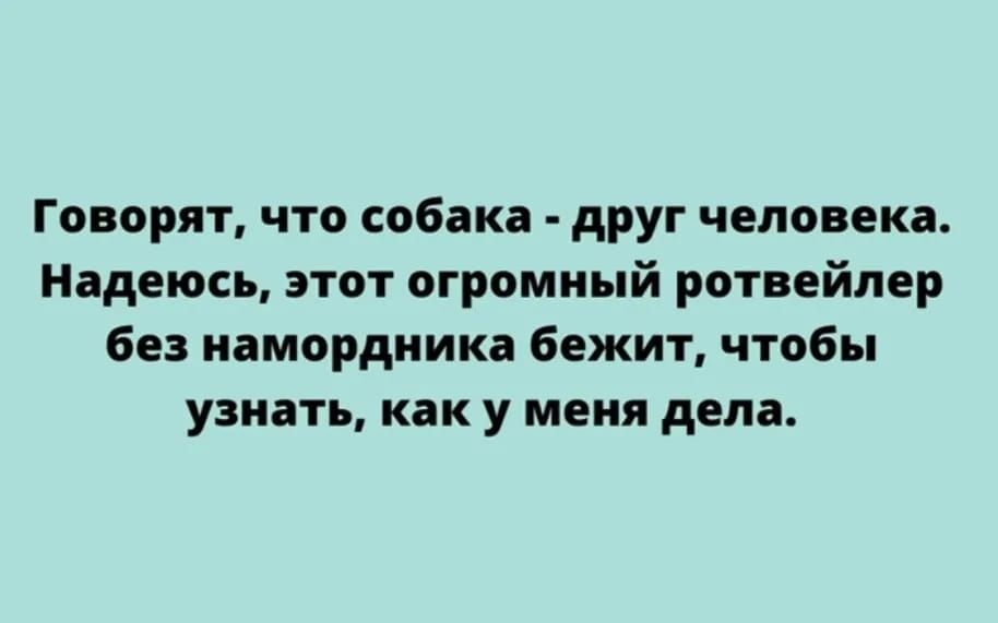 Говорят что собака друг человека Надеюсь этот огромный ротвейпер без намордника бежит чтобы узнать как у меня дела