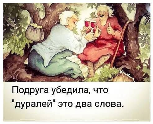 Подруга убедила что дуралей это два слова