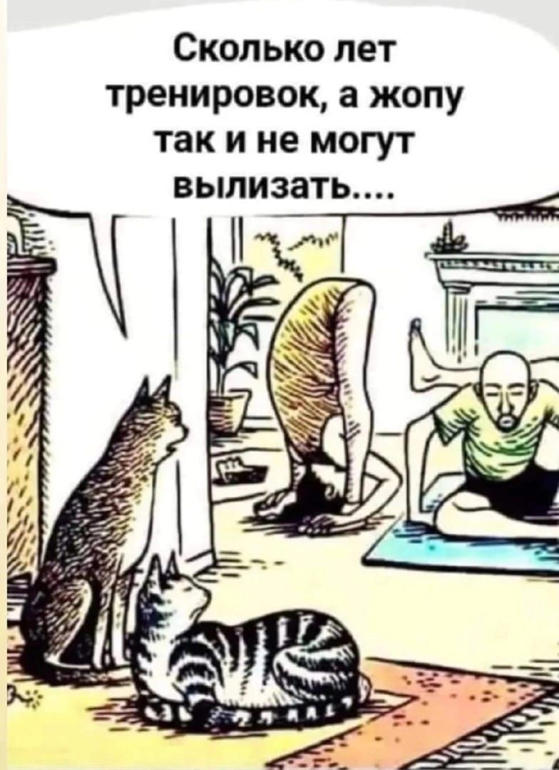 Сколько лет тренировок а жопу так и не могут