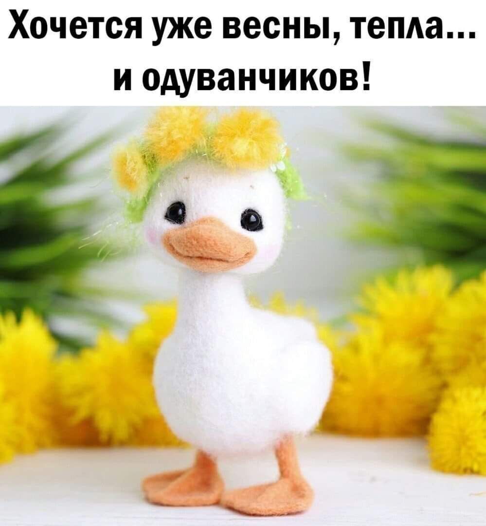 Хочется уже весны тепда и одуванчиков