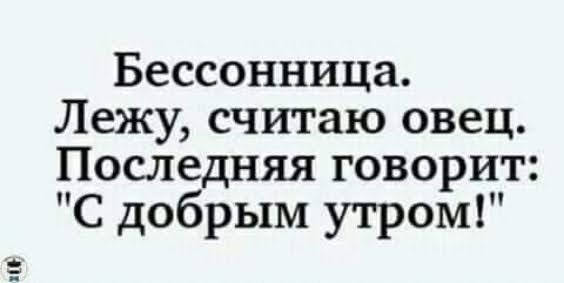 Бессонница Лежу считаю овец Последняя говорит С добрым утром