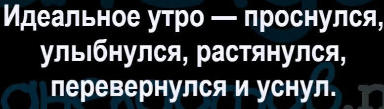 Идеальное утро проснулся улыбнулся растянулся перевернулся и уснул