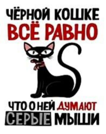 ЧЁРН9И КОШКЕ и В АС Ё чтонві АШДАЮТ СЕРЫЕ МЫШИ