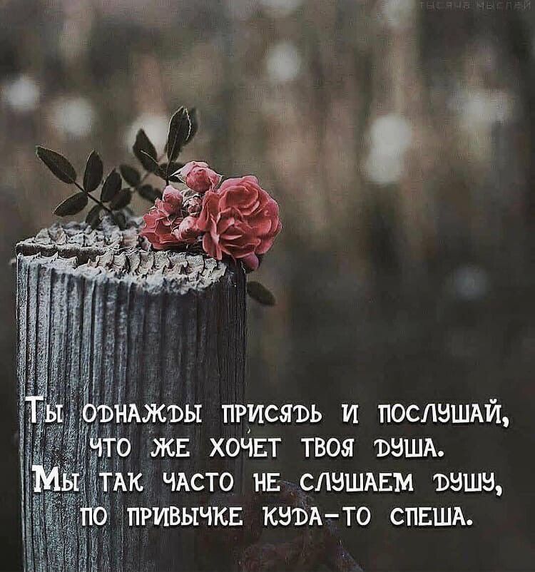 жъы трисять и послушай, же хочет твоя фуша. Ак часто не слушаем фушу, ривычке куфато спеша.