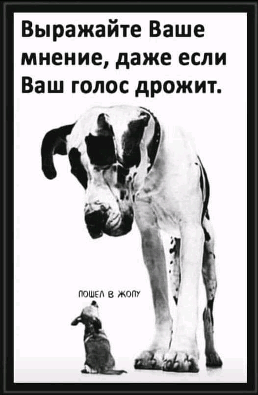 Выражайте Ваше мнение даже если Ваш голос дрожит