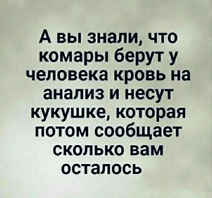 А вы знали что комары берут у человека кровь на анализ и несут кукушке которая потом сообщает сколько вам осталось