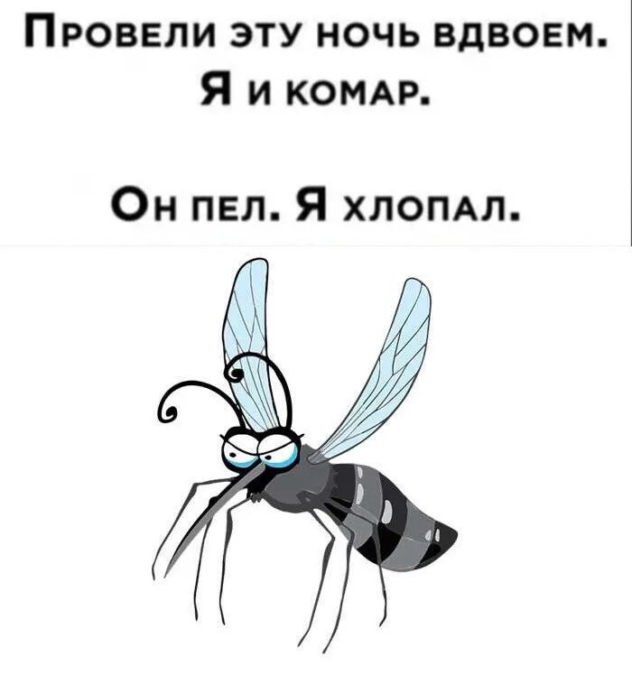 Провели эту ночь вдвоем Я и КОМАР Он пвп Я ХЛОПАП