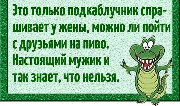 пн ищпш не Это только подкаблучнии спра шивает у жены можно ли пойти с друзьями на пиво Настоящий мужик и _ так знает что нельзя