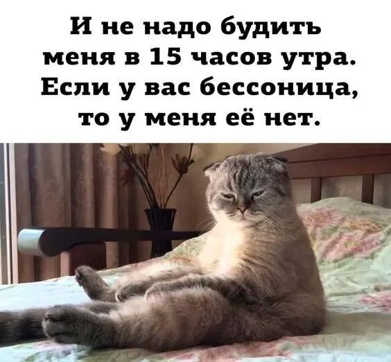 И не надо будить меня в 15 часов утра Если у вас бессоница то у меня её нет