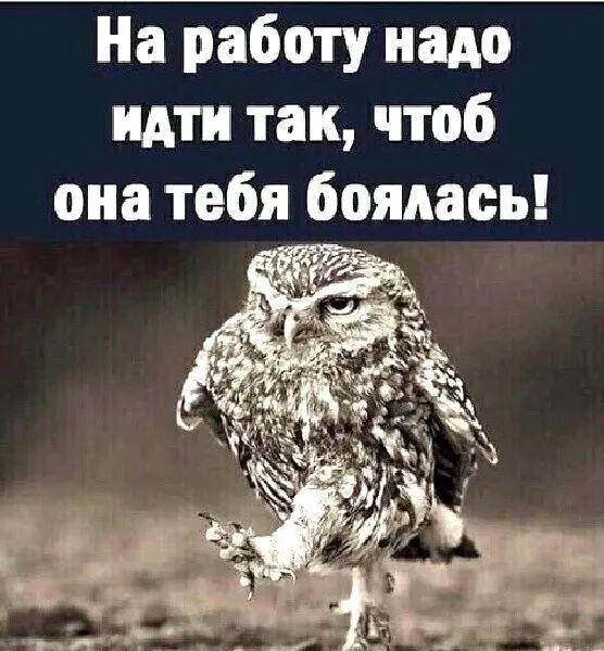 На работу надо идти так чтоб она тебя боялась