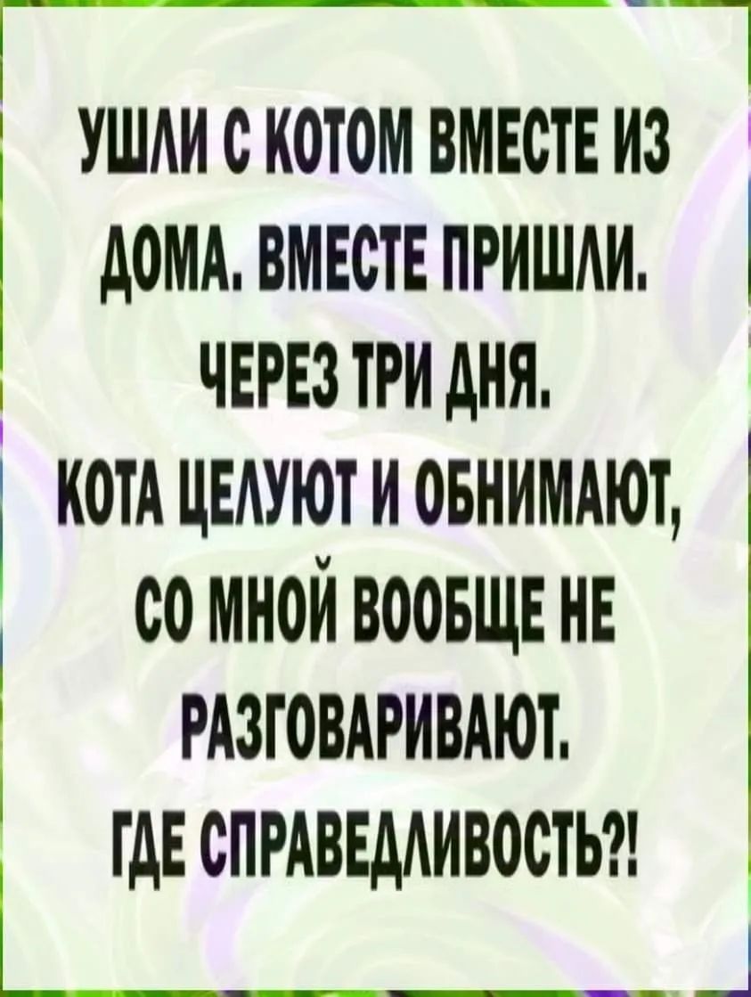 УШАИ С КОТОМ ВМЕСТЕ ИЗ котдцыуютиовнимдют АВМА ВМЕСТЕ ПРИШАИ ЧЕРЕЗ ТРИ дня со мной ВООБЩЕ НЕ РАЗГОВАРИВАЮТ ТдЕ СПРАВЕААИВОСТЬ __ _