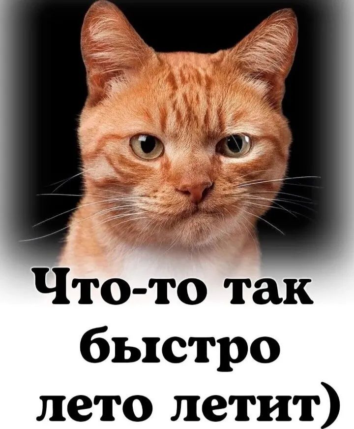 Что то так быстро лето летит