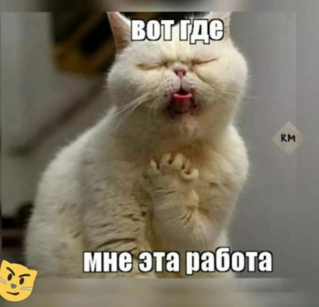 61 абота