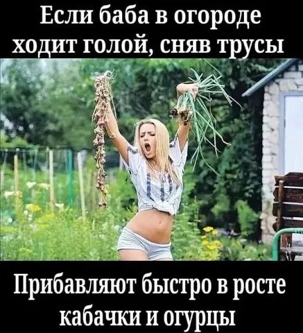 Если баба в огороде Прибавляют быстро в росте кабачки и огурцы