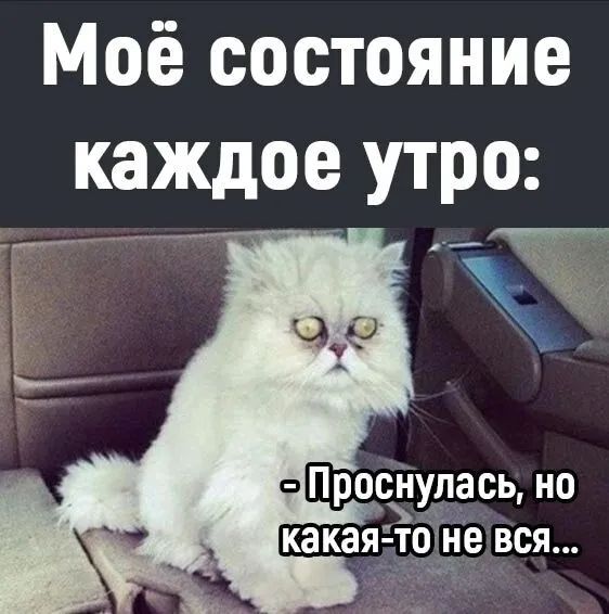 Моё состояние каждое утро Прорзупась но какаядтоне вся