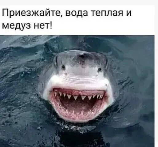 Приезжайте вода теплая и медуз нет