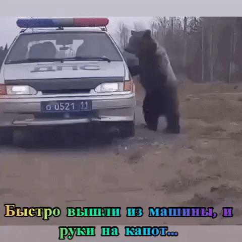 ОЦЬП ___ Быстро в_і1шшчныіщшппы