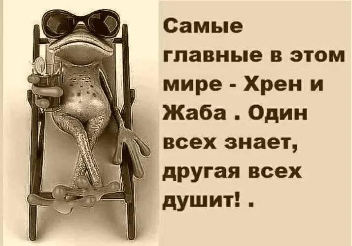 Самые главные в этом мире Хрен и Жаба Один всех знает другая всех душит
