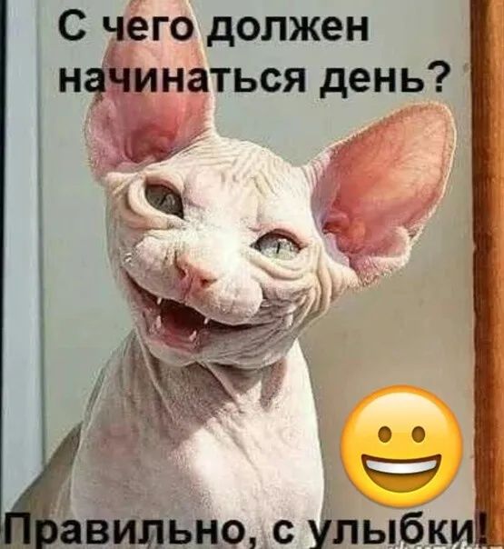 с чего должен ифтнаться день