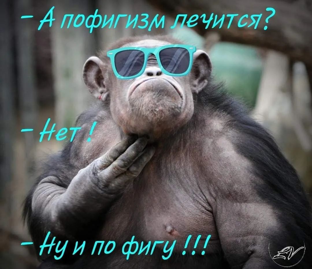 уИ по фйг_ё а 1рЗЙ