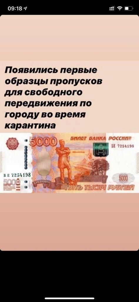Появились первые образцы пропусков для свободного передвижения по городу во время карантина тещи