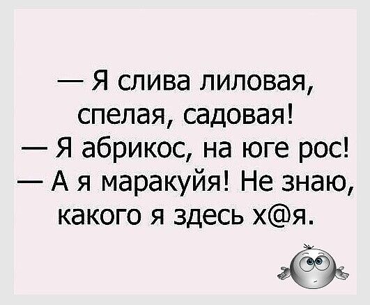Я слива липовая спелая садовая Я абрикос на юге рос А я маракуйя Не знаю какого я здесь хя