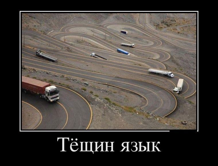 Тёщин язык