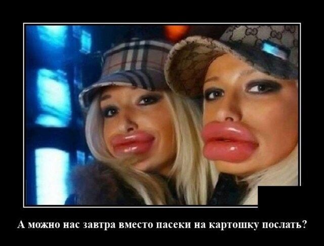 А можно нас іавтра вместо пасеки ня кирюшку послпь