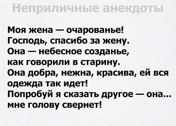 Моя жена очарованье Господь спасибо за жену Она небесное созданье как говорили в старину Она добра нежна красива ей вся одежда так идет Попробуй я сказать другое она мне голову свернет