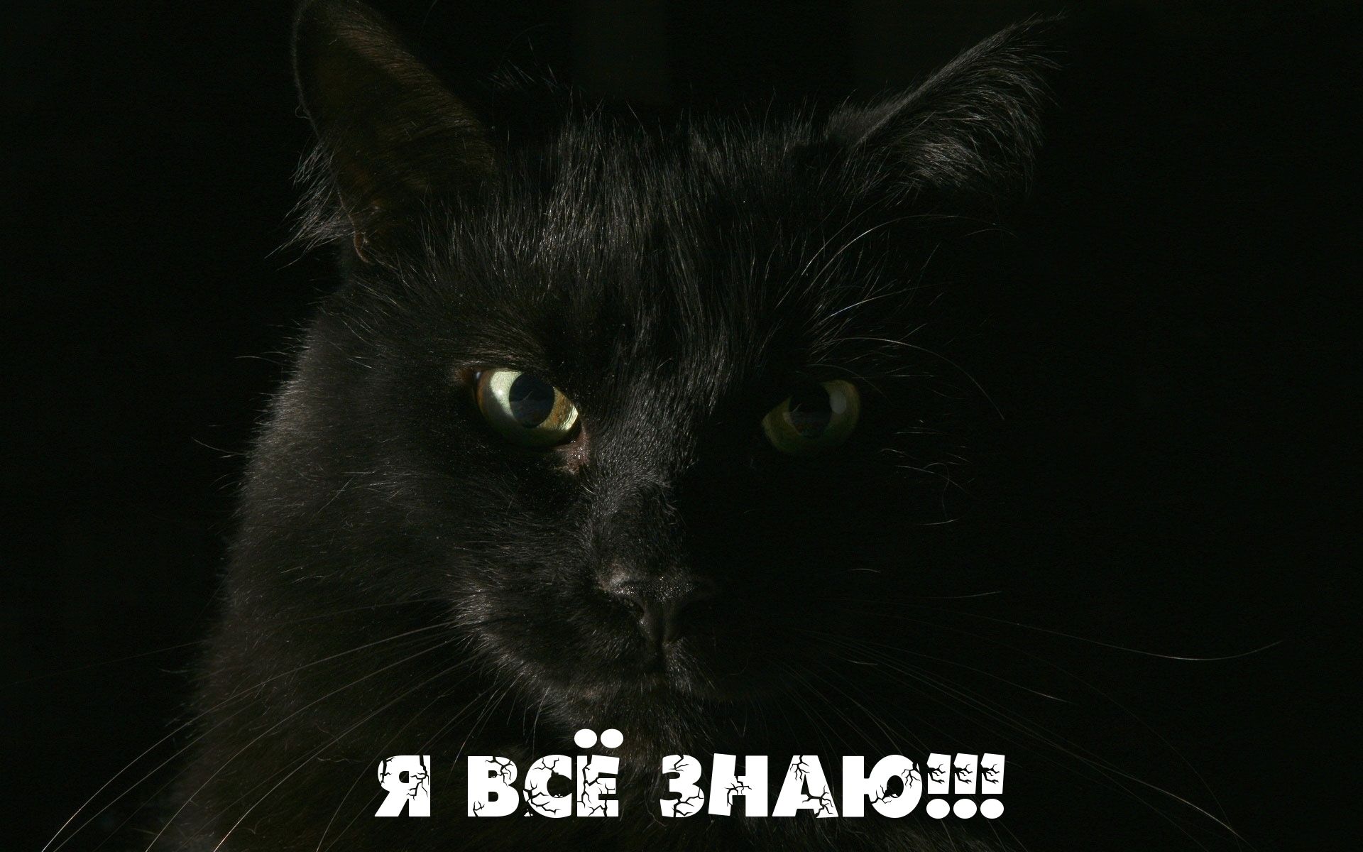 Я жён зыдюгёё
