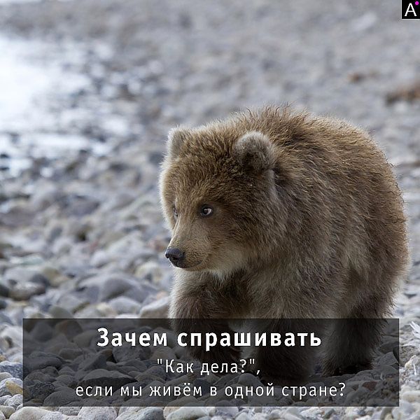 3 чем спрашивать Как дела если мы живём в одной стране