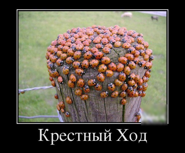 Крестный Ход