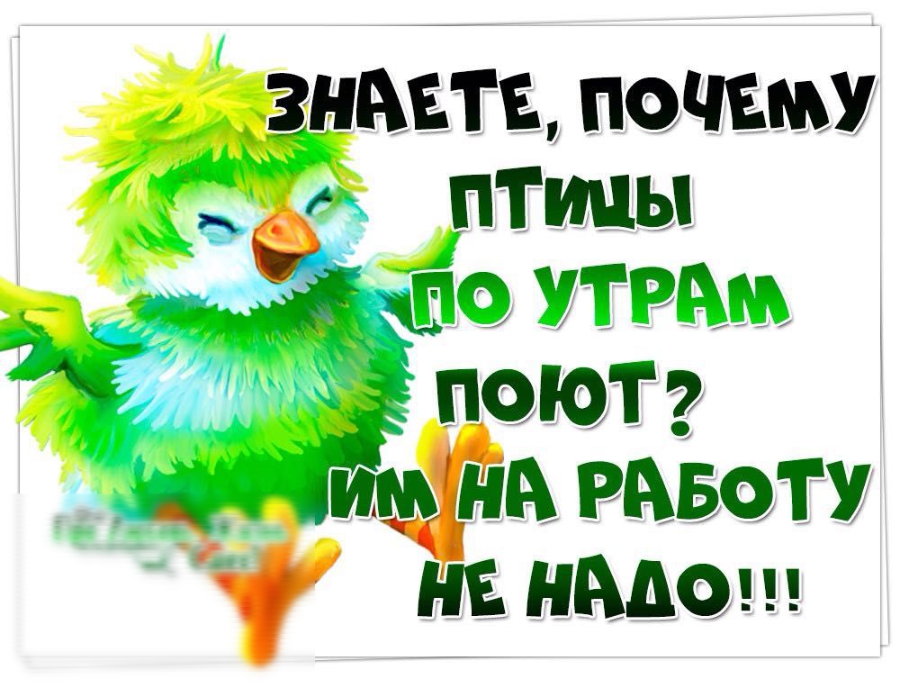 ЗНАЕТЕ ПОЧЕУ ПТИЦЫ ММ Мтэммщ 7 поют ім нА РАБОТУ 1 не нАдо