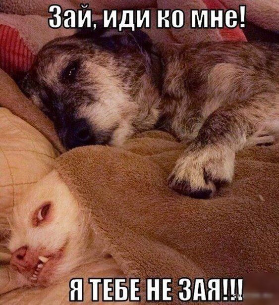 ЁЁМ иди но мне ьн здящ