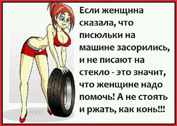 Если женщина сказала что писюльки на машине засорились и не писают на стекло это значит что женщине надо помочь А не стоять и ржать как конь